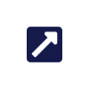 external-link icon
